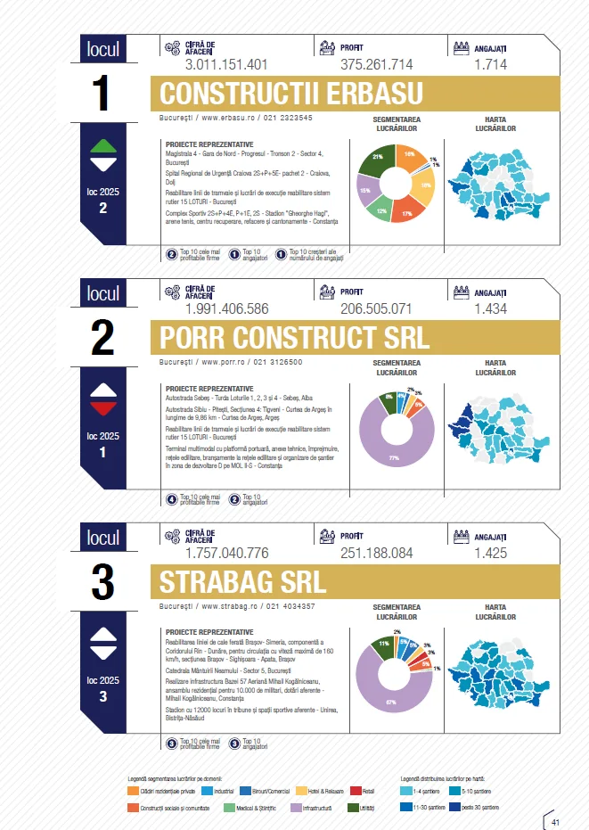 Preview Top 3 companii TOP 100